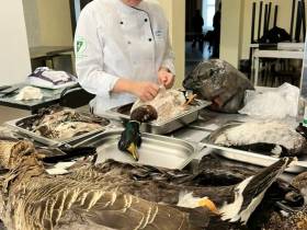 Светлана Диодорова — о том, как якутяне помогают бойцам, и почему она провожала сына с улыбкой