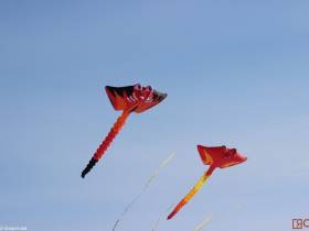 Шоу воздушных змеев открылось на озере Сайсары в Якутске