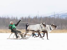 Кормление огня, камлание шамана и гонки на оленях: как эвенки отметили День оленевода
