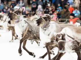 Кормление огня, камлание шамана и гонки на оленях: как эвенки отметили День оленевода