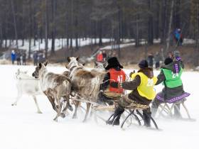 Кормление огня, камлание шамана и гонки на оленях: как эвенки отметили День оленевода