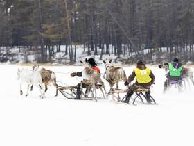 Кормление огня, камлание шамана и гонки на оленях: как эвенки отметили День оленевода