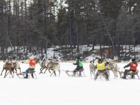 Кормление огня, камлание шамана и гонки на оленях: как эвенки отметили День оленевода
