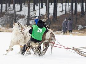 Кормление огня, камлание шамана и гонки на оленях: как эвенки отметили День оленевода
