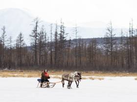 Кормление огня, камлание шамана и гонки на оленях: как эвенки отметили День оленевода