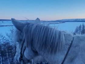 Дугуйдан Винокуров завершил конный поход из Оймякона в Сеймчан