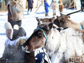 Фото и видео: праздник спорта оленеводов в Эвено-Бытантайском районе Якутии