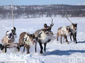 Фото и видео: праздник спорта оленеводов в Эвено-Бытантайском районе Якутии