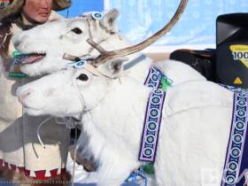 Фото и видео: праздник спорта оленеводов в Эвено-Бытантайском районе Якутии