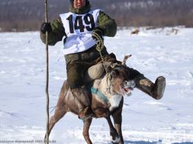 Фото и видео: праздник спорта оленеводов в Эвено-Бытантайском районе Якутии