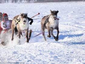 Фото и видео: праздник спорта оленеводов в Эвено-Бытантайском районе Якутии