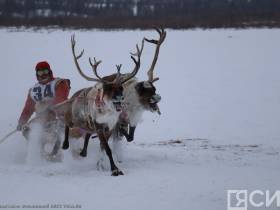 Фото и видео: праздник спорта оленеводов в Эвено-Бытантайском районе Якутии