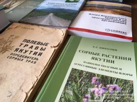 Агрессивные и опасные: учёный рассказал о чужеродных растениях в Якутии