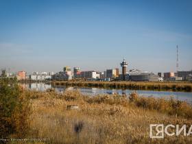 Агрессивные и опасные: учёный рассказал о чужеродных растениях в Якутии