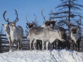 «Мистика сопровождала весь путь»: участники автоэкспедиции - о путешествии по якутской Арктике