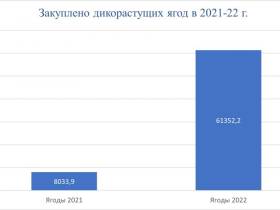 Производители продукции из дикоросов Якутии: «Нам нужна поддержка»