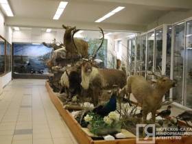 Мутанты, гибриды, случайные гости: необычные животные и птицы, которых обнаружили в Якутии