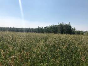 Якутские фермеры в эти дни считают качество и количество семян трав