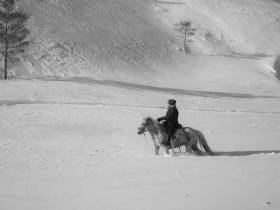 «Якутское кино выходит на новый уровень». Сардана Саввина — о развитии регионального кинематографа