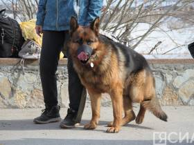 Фото и видео: в Якутске прошла репетиция парада Победы