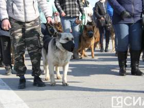 Фото и видео: в Якутске прошла репетиция парада Победы