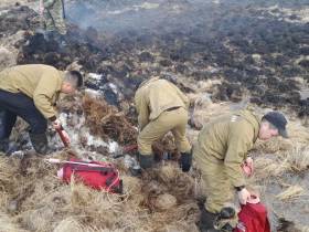 Ландшафтный пожар локализовали в пяти км от села Сунтар