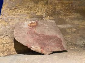 Единственные и неповторимые: топ самых уникальных и редких экспонатов музеев Якутии