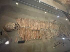 Единственные и неповторимые: топ самых уникальных и редких экспонатов музеев Якутии