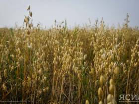 Аграрии Якутии приобрели в лизинг 19 единиц техники для посевной и уборочной кампаний