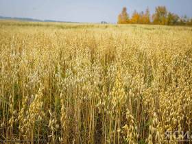 Аграрии Якутии приобрели в лизинг 19 единиц техники для посевной и уборочной кампаний