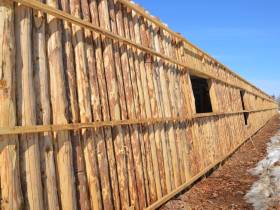 Обладатель госпремии «Человек труда» Анатолий Бурнашев — о своей агропредпринимательской работе