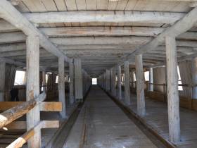 Обладатель госпремии «Человек труда» Анатолий Бурнашев — о своей агропредпринимательской работе