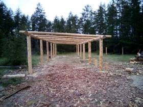 Обладатель госпремии «Человек труда» Анатолий Бурнашев — о своей агропредпринимательской работе