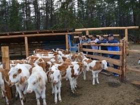 Номинант госпремии «Человек труда» Анатолий Бурнашев — о своей агропредпринимательской работе