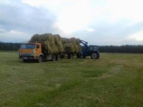 Номинант госпремии «Человек труда» Анатолий Бурнашев — о своей агропредпринимательской работе