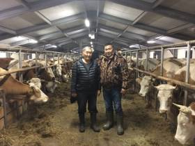 Номинант госпремии «Человек труда» Анатолий Бурнашев — о своей агропредпринимательской работе