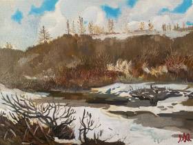 Якутская художница Мира Аргунова представила выставку на Таймыре