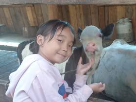 Семья фермеров из Усть-Алданского района: «Будем создавать условия для работы на своей малой родине»