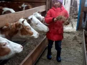 Семья фермеров из Усть-Алданского района: «Будем создавать условия для работы на своей малой родине»