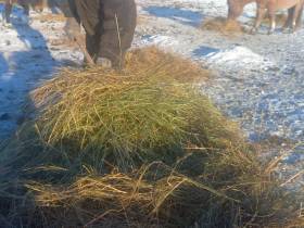 Семья фермеров из Усть-Алданского района: «Будем создавать условия для работы на своей малой родине»