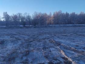 В Якутии на мелиорацию земель предусмотрена субсидия в размере 100 млн рублей