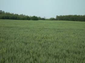 В Якутии на мелиорацию земель предусмотрена субсидия в размере 100 млн рублей