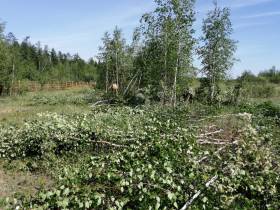 В Якутии на мелиорацию земель предусмотрена субсидия в размере 100 млн рублей