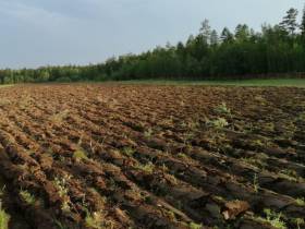 В Якутии на мелиорацию земель предусмотрена субсидия в размере 100 млн рублей