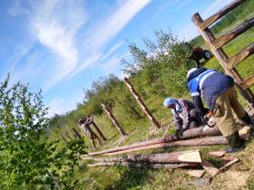 В Якутии на мелиорацию земель предусмотрена субсидия в размере 100 млн рублей
