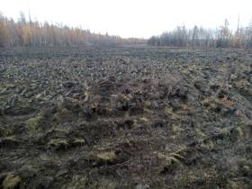 В Якутии на мелиорацию земель предусмотрена субсидия в размере 100 млн рублей