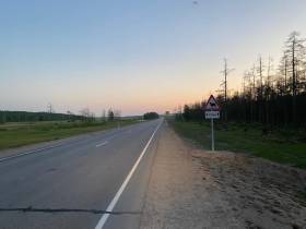 В Якутии пьяный мотоциклист насмерть сбил теленка. Водитель и пассажир госпитализированы