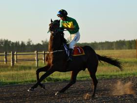 Определены победители конных скачек на приз главы Якутска