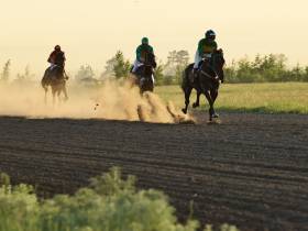 Определены победители конных скачек на приз главы Якутска