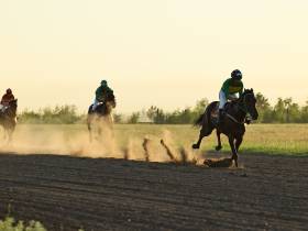 Определены победители конных скачек на приз главы Якутска